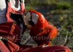 10 FC-Treffen 2011